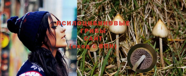 не бодяженный Козловка