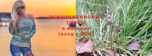 не бодяженный Козловка