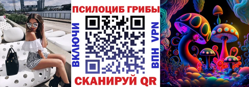 Псилоцибиновые грибы Magic Shrooms  Купить где  Вытегра 